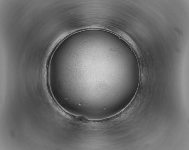 X0000113001096200908271342