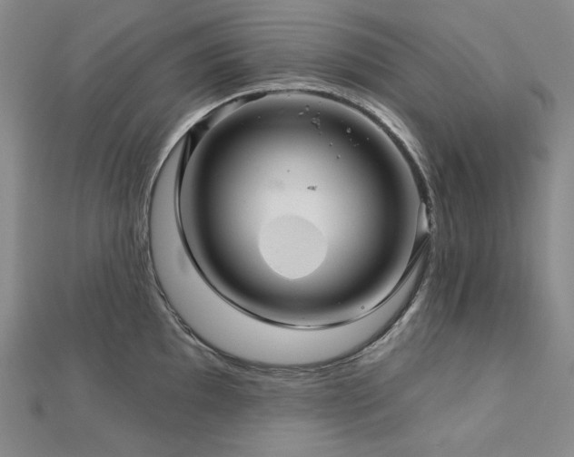 X0000113001097200908271342