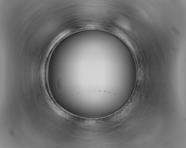 X0000113001098200908271342