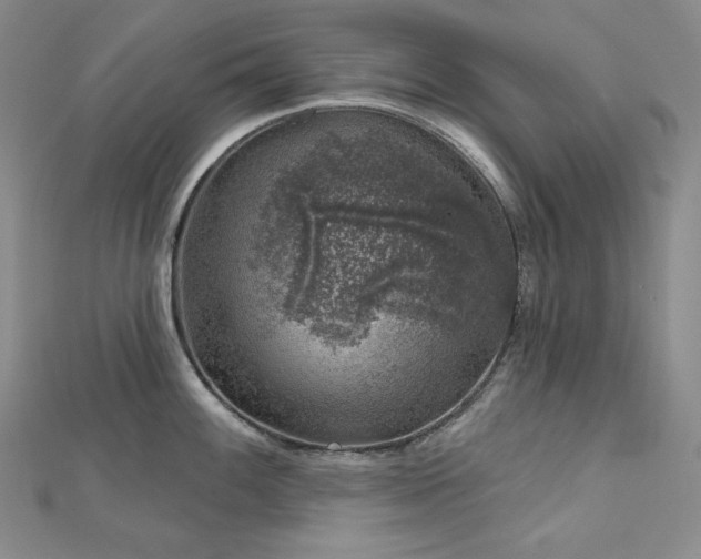 X0000113001100200908271342