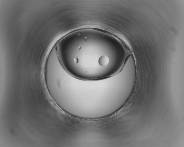 X0000113001104200908271342