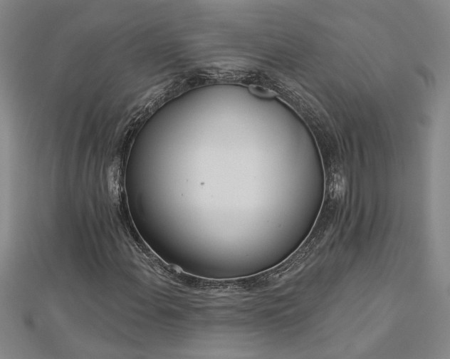 X0000113001108200908271341
