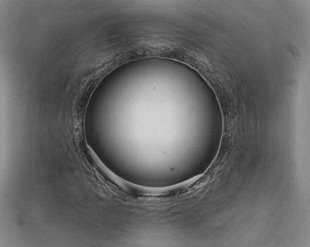 X0000113001109200908271341