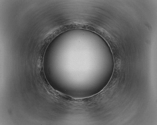 X0000113001110200908271341