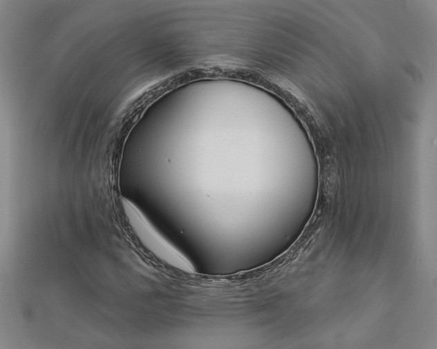 X0000113001112200908271341