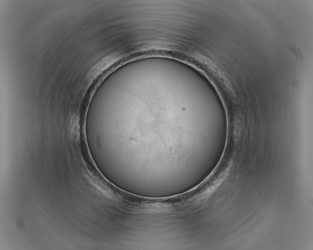 X0000113001113200908271341