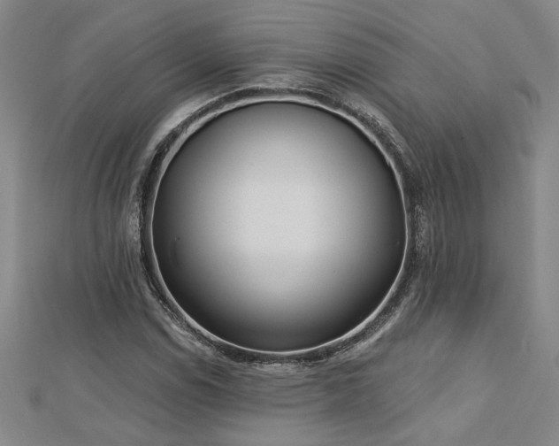 X0000113001114200908271341