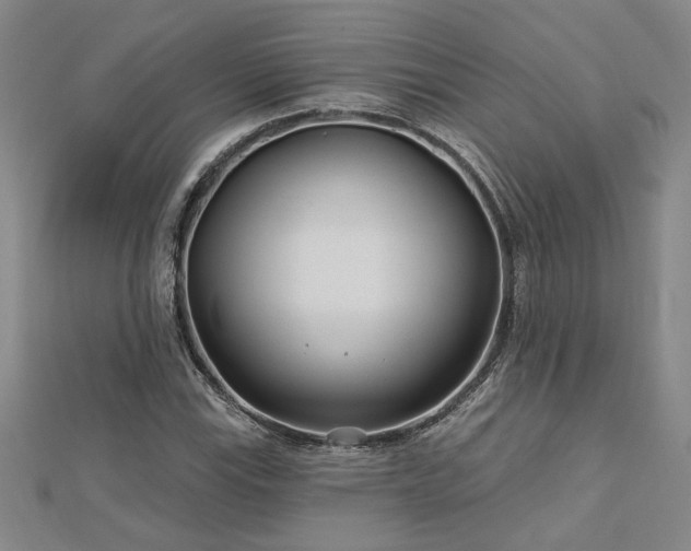 X0000113001115200908271341