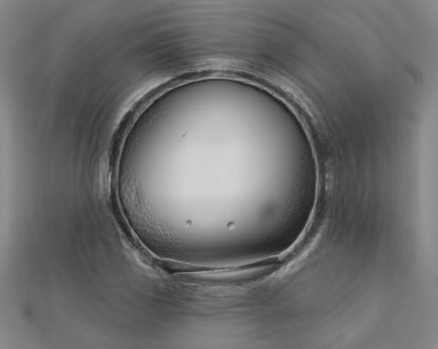 X0000113001117200908271341
