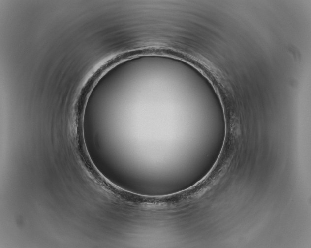 X0000113001118200908271341