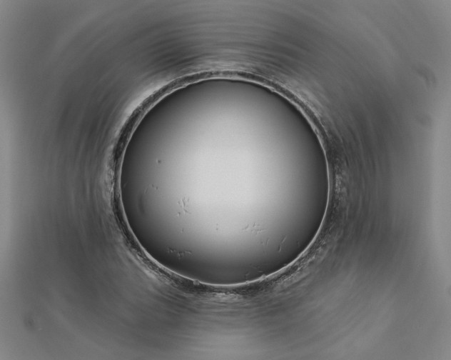 X0000113001119200908271341