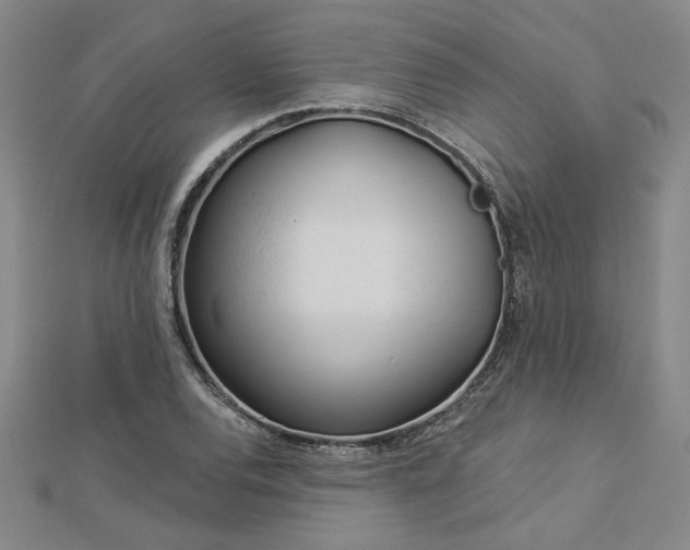 X0000113001120200908271341