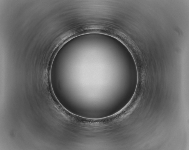 X0000113001121200908271341