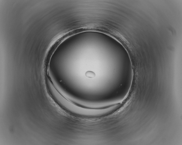 X0000113001122200908271341