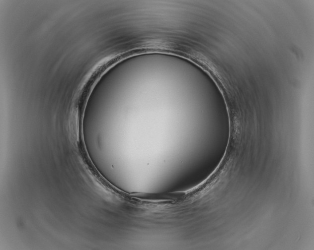 X0000113001123200908271341