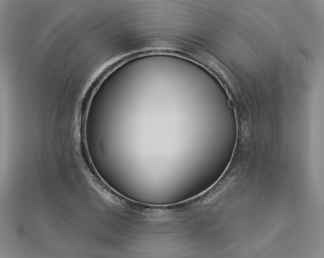 X0000113001124200908271341