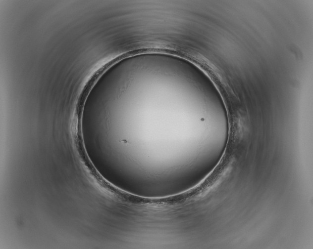 X0000113001125200908271341
