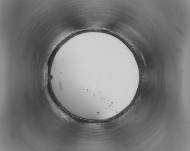 X0000113001126200908271341