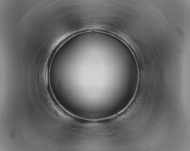 X0000113001127200908271341