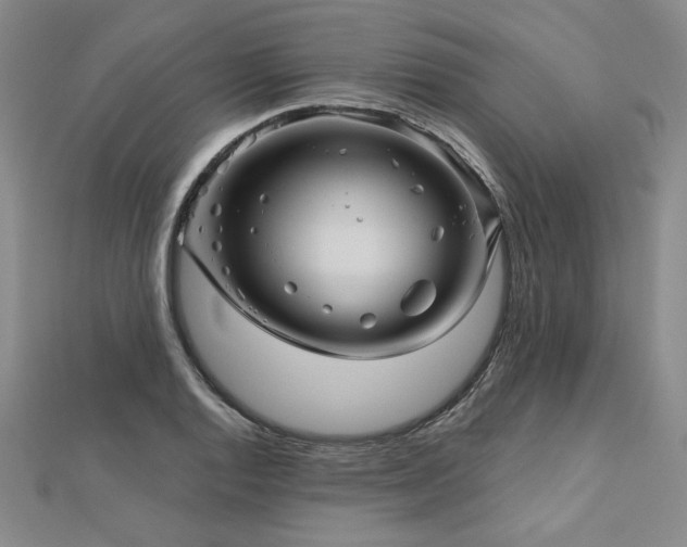 X0000113001128200908271341