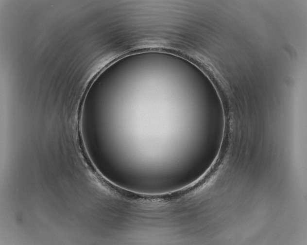 X0000113001129200908271341