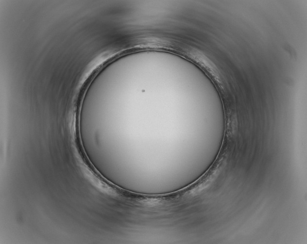 X0000113001130200908271341