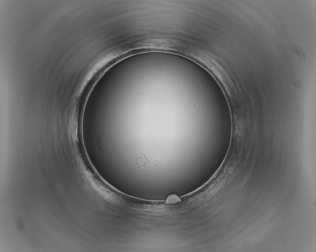 X0000113001131200908271341