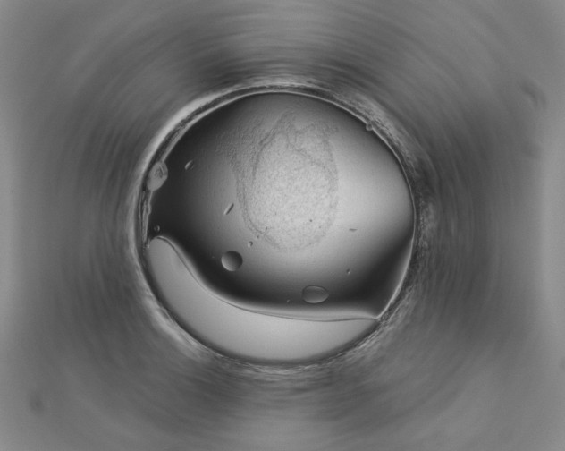 X0000113001132200908271341
