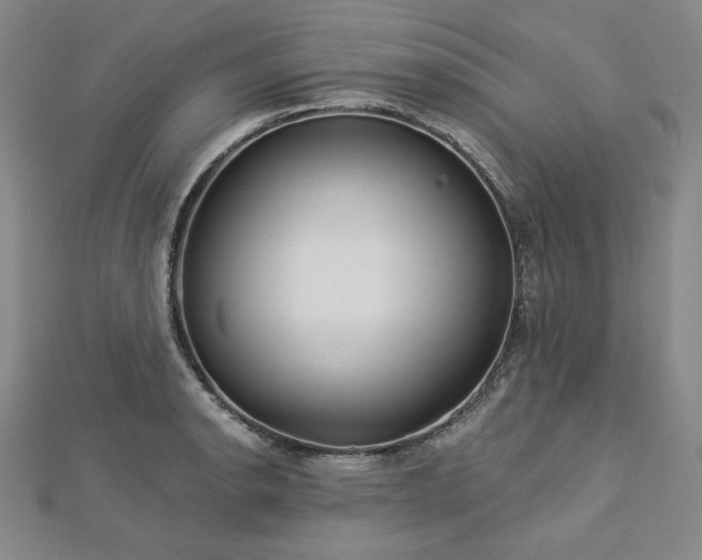 X0000113001134200908271341
