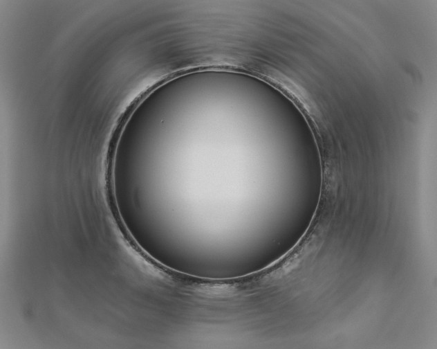 X0000113001135200908271341