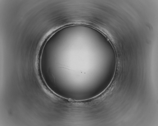 X0000113001136200908271341