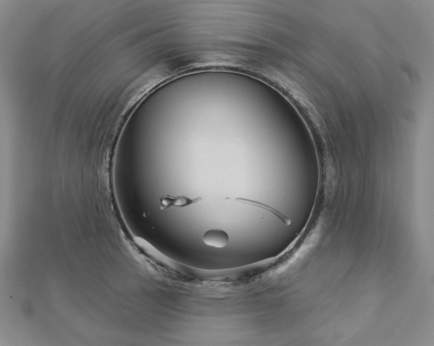 X0000113001137200908271341