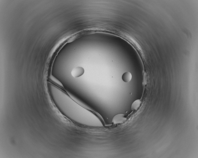 X0000113001138200908271341
