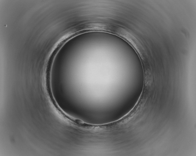 X0000113001139200908271341