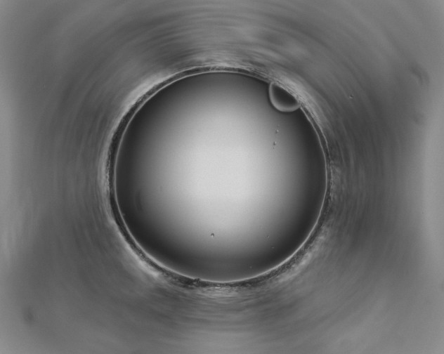 X0000113001141200908271341