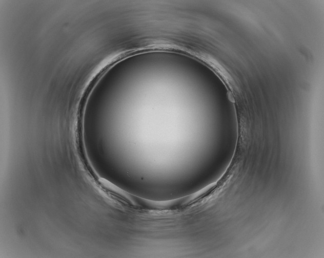 X0000113001142200908271341
