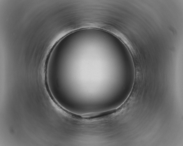 X0000113001143200908271341