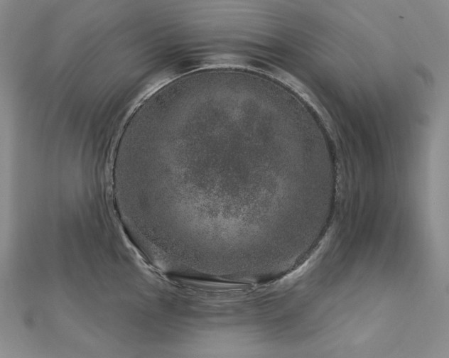 X0000113001145200908271341