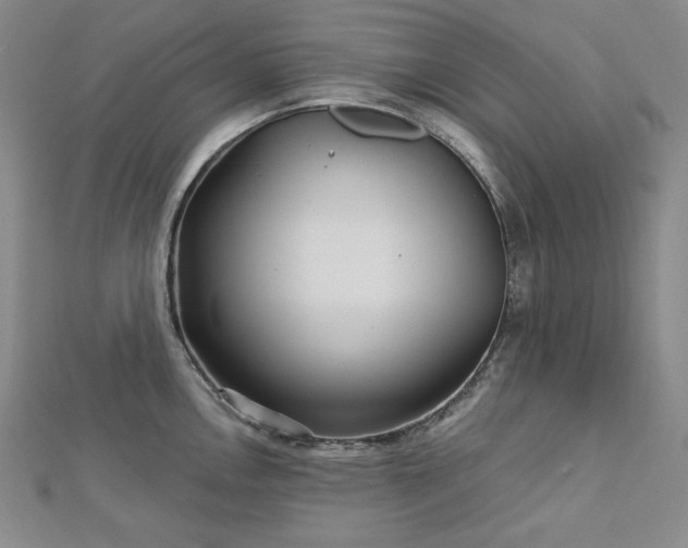 X0000113001146200908271341