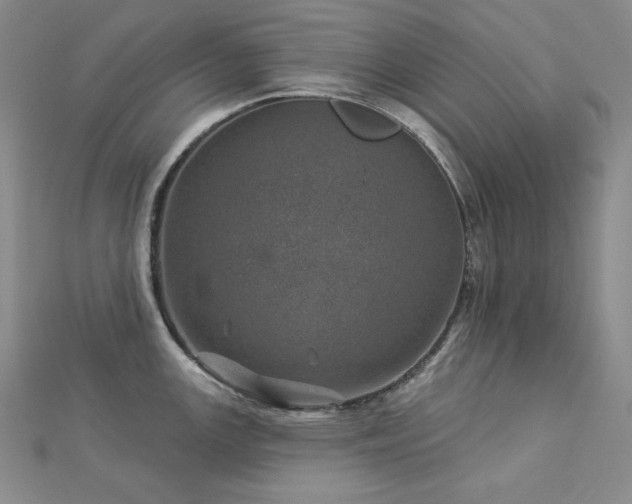 X0000113001147200908271341