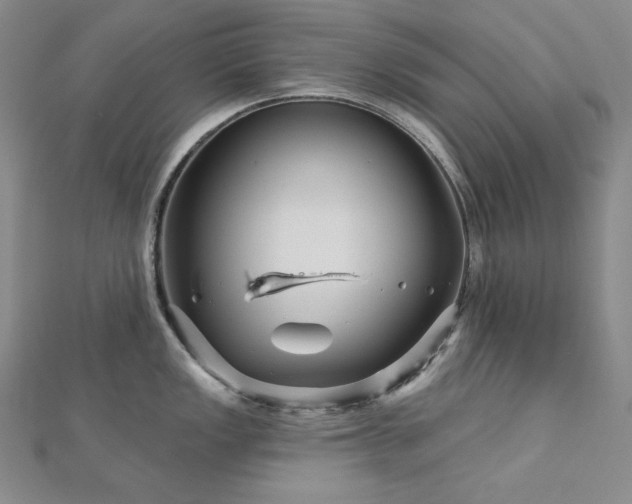 X0000113001149200908271342