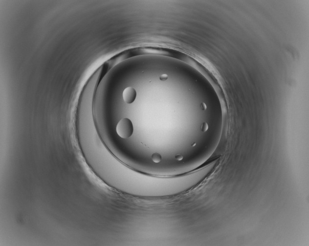 X0000113001152200908271342