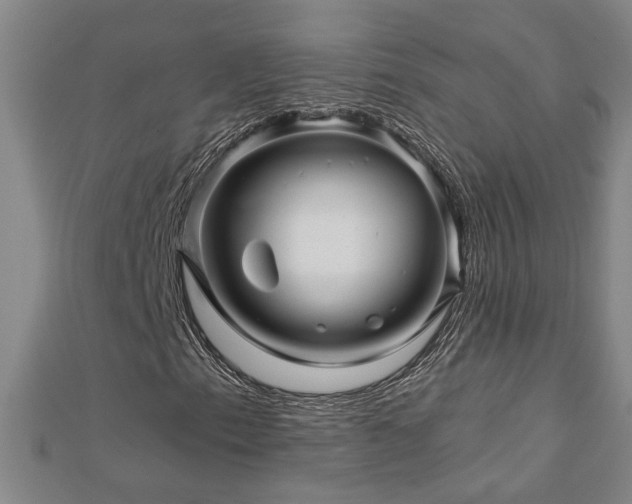X0000113001153200908271341