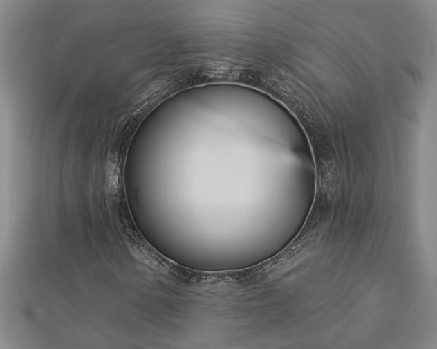 X0000113001154200908271341
