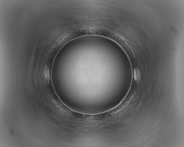 X0000113001155200908271341