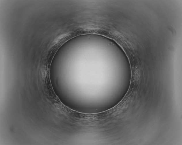 X0000113001157200908271341