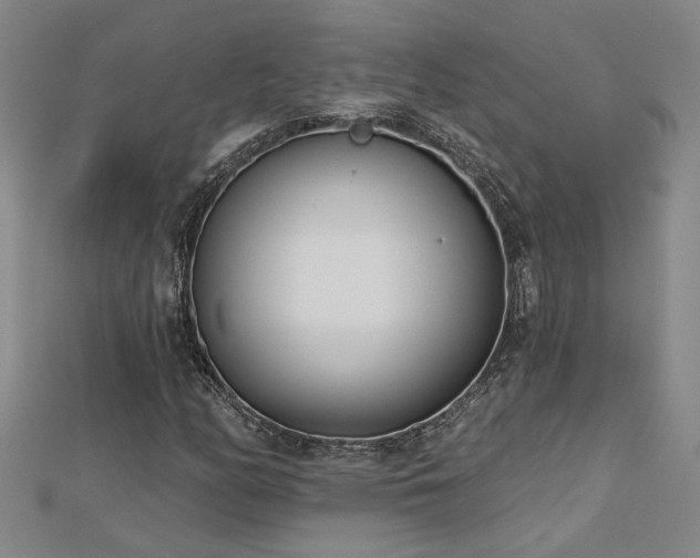X0000113001158200908271341