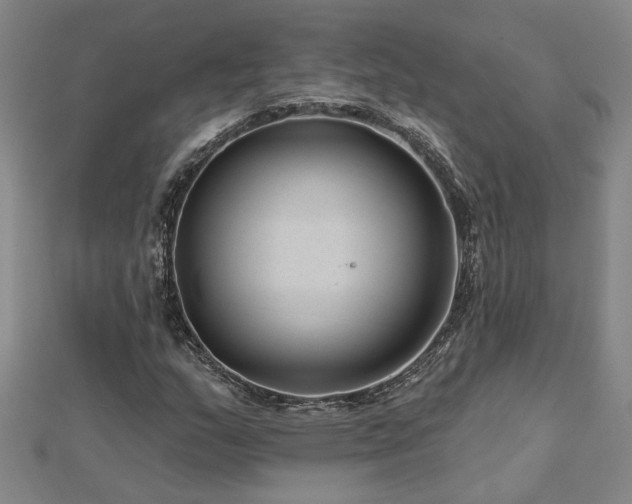 X0000113001159200908271341