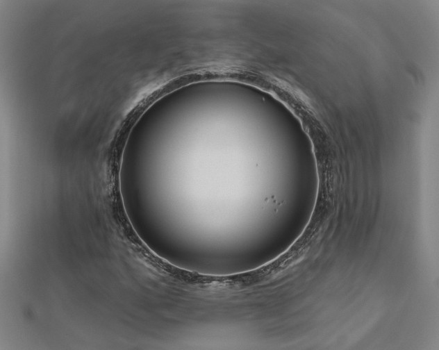 X0000113001160200908271341