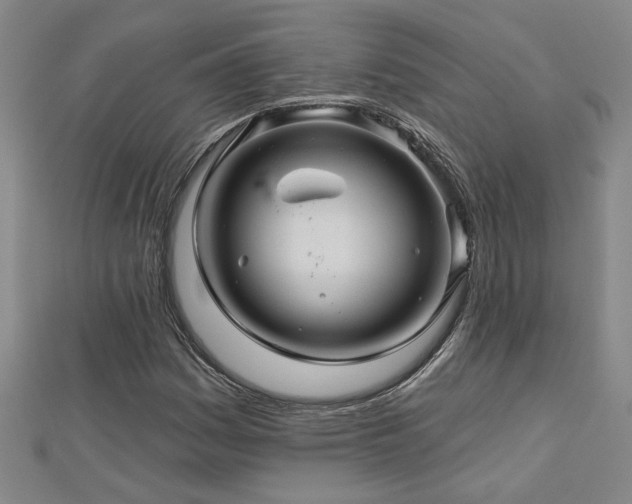 X0000113001161200908271341